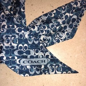 Blue Coach Purse Scarf